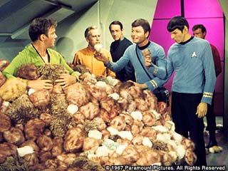 Illustration for article titled Is Star Trek A Religion?